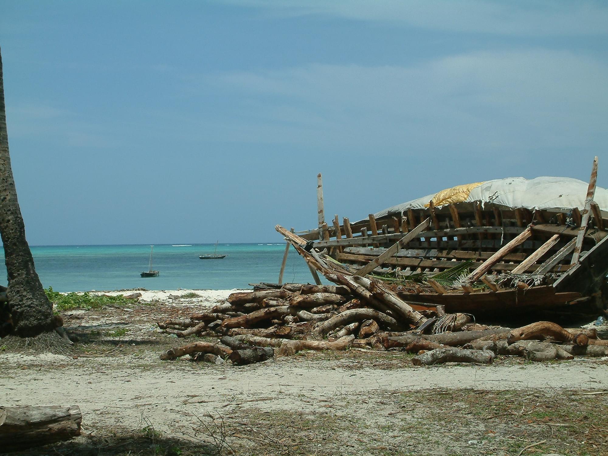 20040129   Zanzibar 242